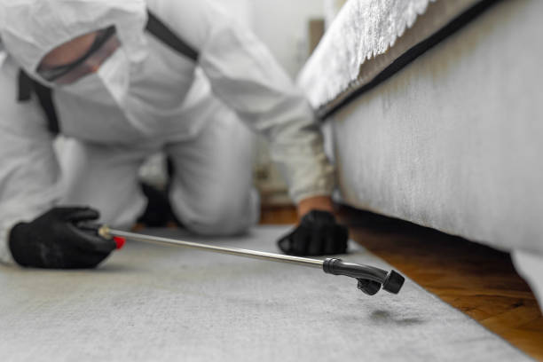 Professional Bed Bug Control technician working in DeQuincy, LA