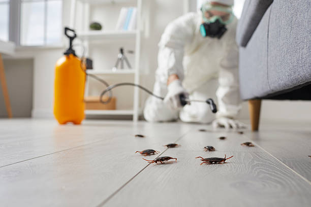 Trusted Cockroach Control service in DeQuincy, LA - Nex Pest Control