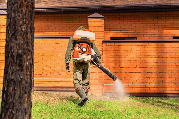 Trusted Ant Control service in DeQuincy, LA - Nex Pest Control